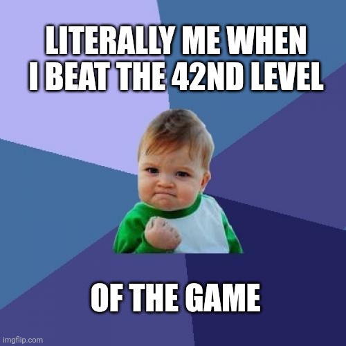 This game has a meaning in life | LITERALLY ME WHEN I BEAT THE 42ND LEVEL; OF THE GAME | image tagged in memes,success kid | made w/ Imgflip meme maker