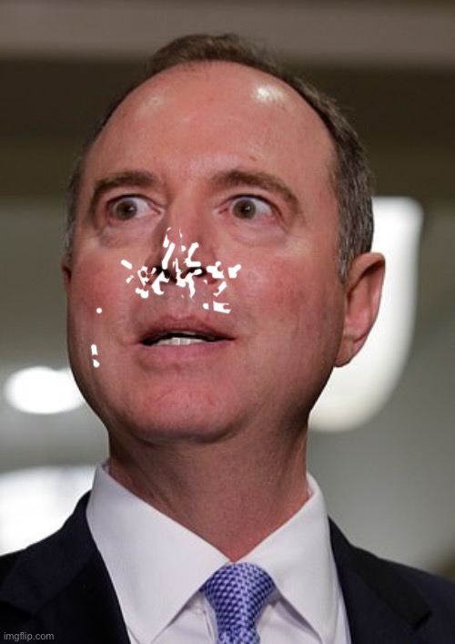 Schiff for brains | image tagged in schift head | made w/ Imgflip meme maker