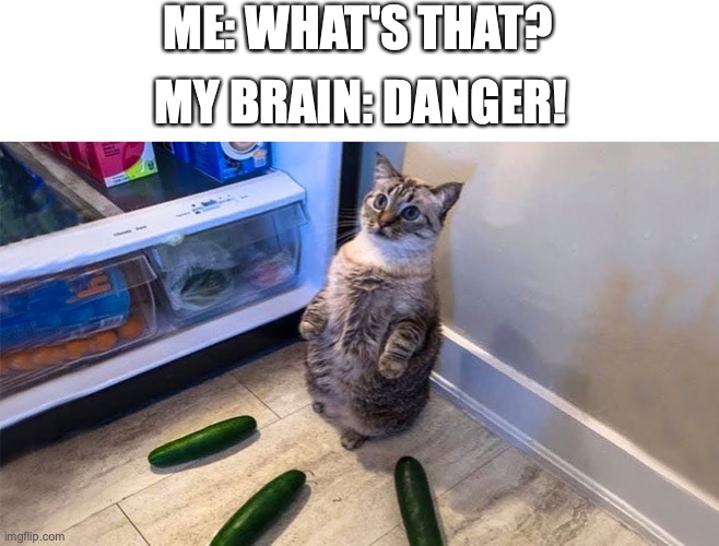 pickle bad! | ME: WHAT'S THAT? MY BRAIN: DANGER! | image tagged in funny,memes,cat,pickel,fun | made w/ Imgflip meme maker
