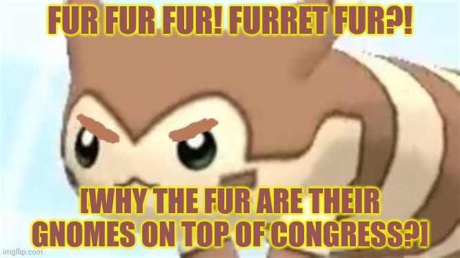 angry furret | FUR FUR FUR! FURRET FUR?! [WHY THE FUR ARE THEIR GNOMES ON TOP OF CONGRESS?] | image tagged in angry furret | made w/ Imgflip meme maker