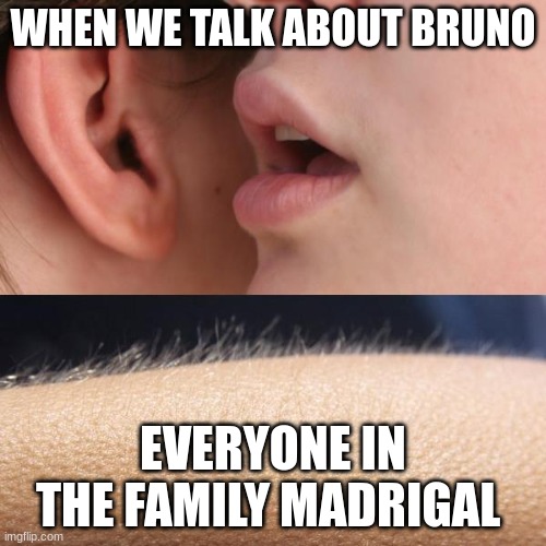 we DONT talk about bruno | WHEN WE TALK ABOUT BRUNO; EVERYONE IN THE FAMILY MADRIGAL | image tagged in whisper and goosebumps | made w/ Imgflip meme maker