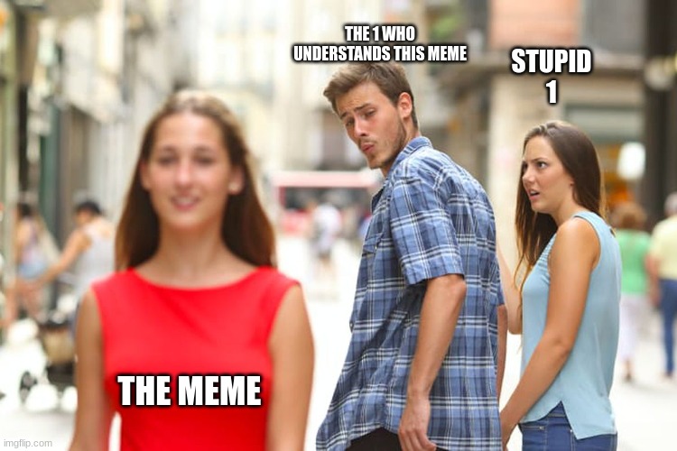 Distracted Boyfriend Meme | STUPID 1 THE 1 WHO UNDERSTANDS THIS MEME THE MEME | image tagged in memes,distracted boyfriend | made w/ Imgflip meme maker