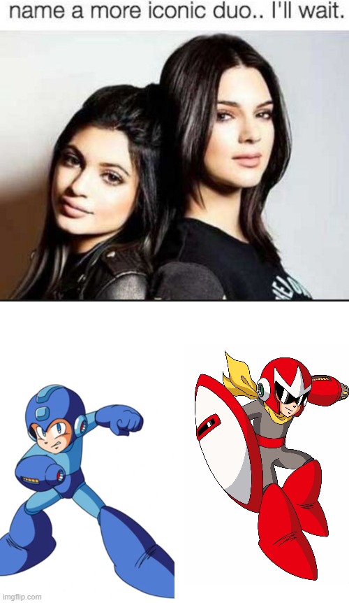 The best duo in gaming | image tagged in name a more iconic duo,megaman,rockman,mega man,mega_man,rock man | made w/ Imgflip meme maker