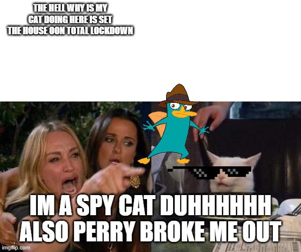 how | THE HELL WHY IS MY CAT DOING HERE IS SET THE HOUSE OON TOTAL LOCKDOWN; IM A SPY CAT DUHHHHHH ALSO PERRY BROKE ME OUT | image tagged in girl sceaming at cat | made w/ Imgflip meme maker