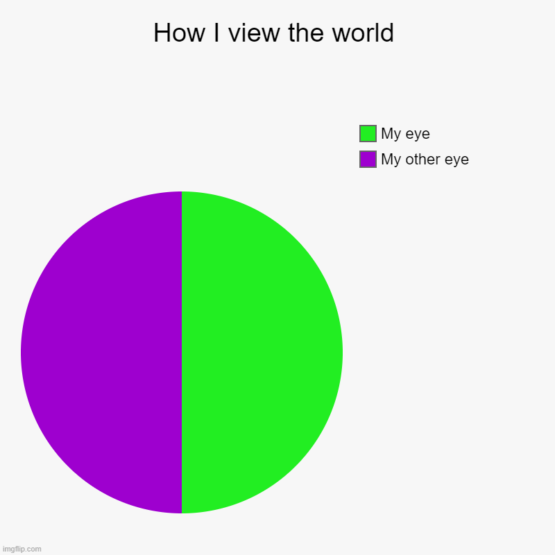 Funny but not funny joke | How I view the world | My other eye, My eye | image tagged in charts,pie charts | made w/ Imgflip chart maker