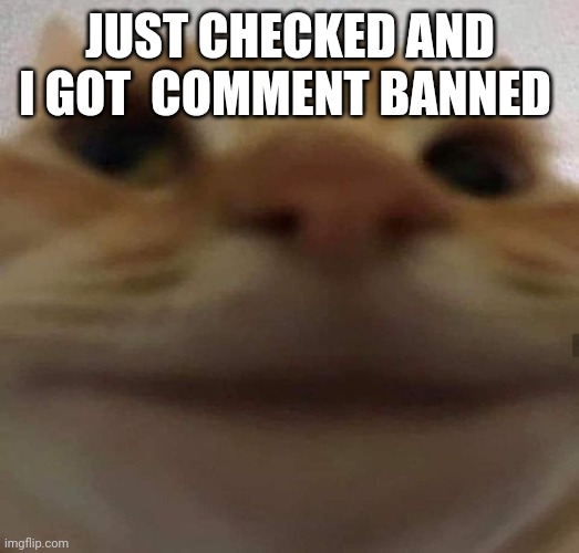 awkward cat | JUST CHECKED AND I GOT  COMMENT BANNED | image tagged in awkward cat | made w/ Imgflip meme maker