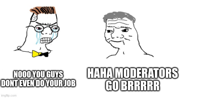 nooo haha go brrr | NOOO YOU GUYS DONT EVEN DO YOUR JOB HAHA MODERATORS GO BRRRRR | image tagged in nooo haha go brrr | made w/ Imgflip meme maker