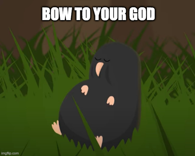 he is a god | BOW TO YOUR GOD | image tagged in mole,god | made w/ Imgflip meme maker