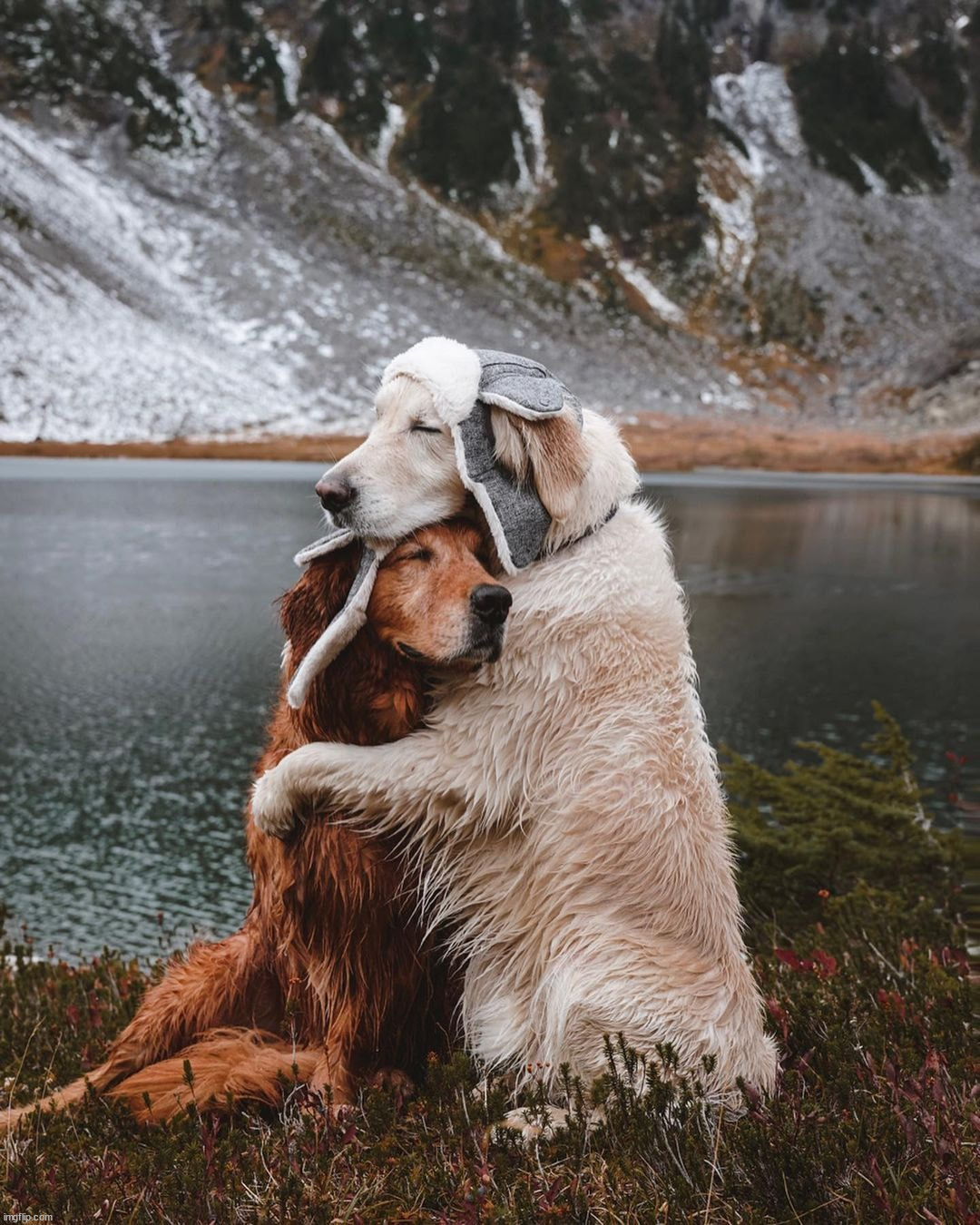 The best picture I ever posted | image tagged in awesome | made w/ Imgflip meme maker
