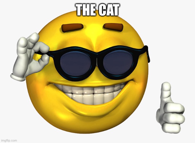 Emoticon Thumbs Up | THE CAT | image tagged in emoticon thumbs up | made w/ Imgflip meme maker