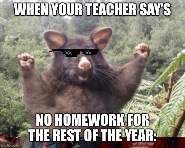 no homework memes