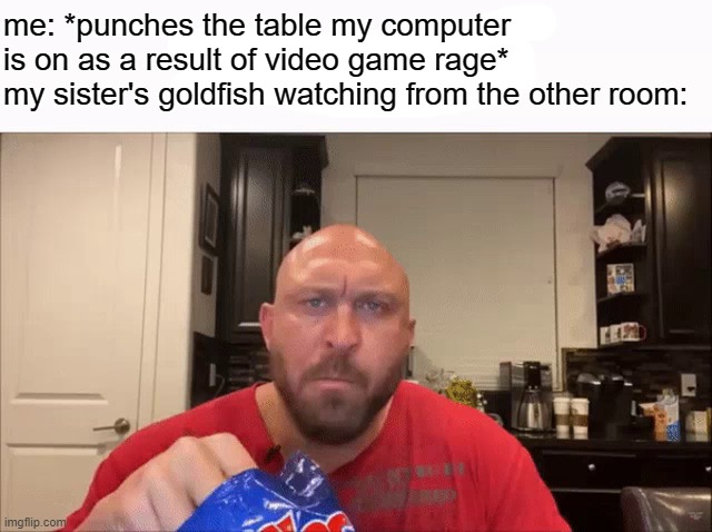 i hate the large spacing between the words. | me: *punches the table my computer is on as a result of video game rage*
my sister's goldfish watching from the other room: | image tagged in cry about it | made w/ Imgflip meme maker