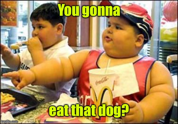 food! | You gonna eat that dog? | image tagged in food | made w/ Imgflip meme maker