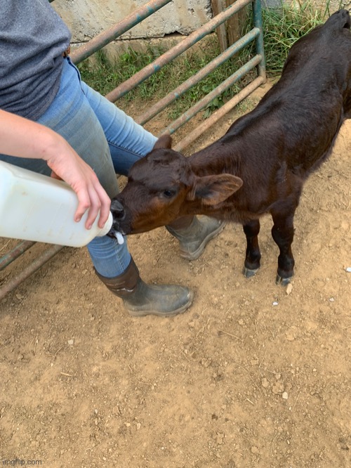 POV: no mother figure | made w/ Imgflip meme maker