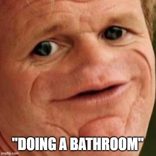 SOSIG | "DOING A BATHROOM" | image tagged in sosig | made w/ Imgflip meme maker