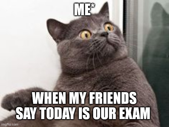 The moment when you realise.... Exams are in a month | ME*; WHEN MY FRIENDS SAY TODAY IS OUR EXAM | image tagged in the moment when you realise exams are in a month | made w/ Imgflip meme maker