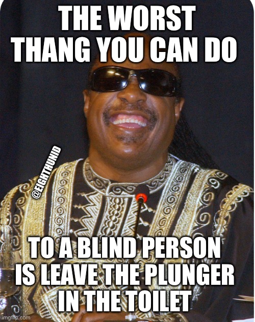 toilet humor | THE WORST THANG YOU CAN DO; @EIGHTHUNID; TO A BLIND PERSON 
IS LEAVE THE PLUNGER 
IN THE TOILET | image tagged in toilet humor | made w/ Imgflip meme maker