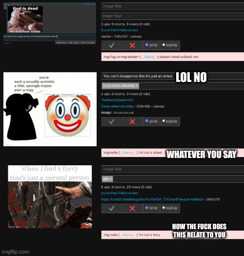 LOL NO; WHATEVER YOU SAY; HOW THE FUCK DOES THIS RELATE TO YOU | made w/ Imgflip meme maker