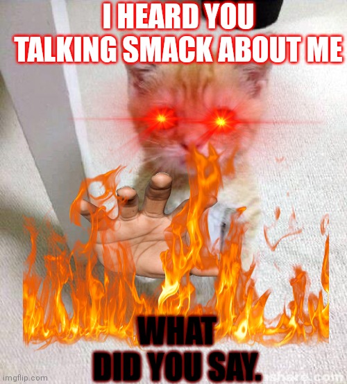 I HEARD YOU TALKING SMACK ABOUT ME; WHAT DID YOU SAY. | image tagged in BossBattles | made w/ Imgflip meme maker