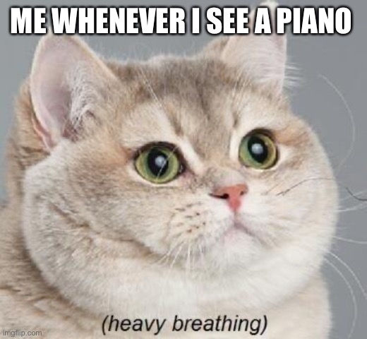 The guardian theme just ECOS in my brain whenever I see a piano | ME WHENEVER I SEE A PIANO | image tagged in memes,heavy breathing cat | made w/ Imgflip meme maker