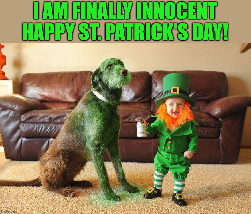 I AM FINALLY INNOCENT
HAPPY ST. PATRICK'S DAY! | image tagged in dogs | made w/ Imgflip meme maker