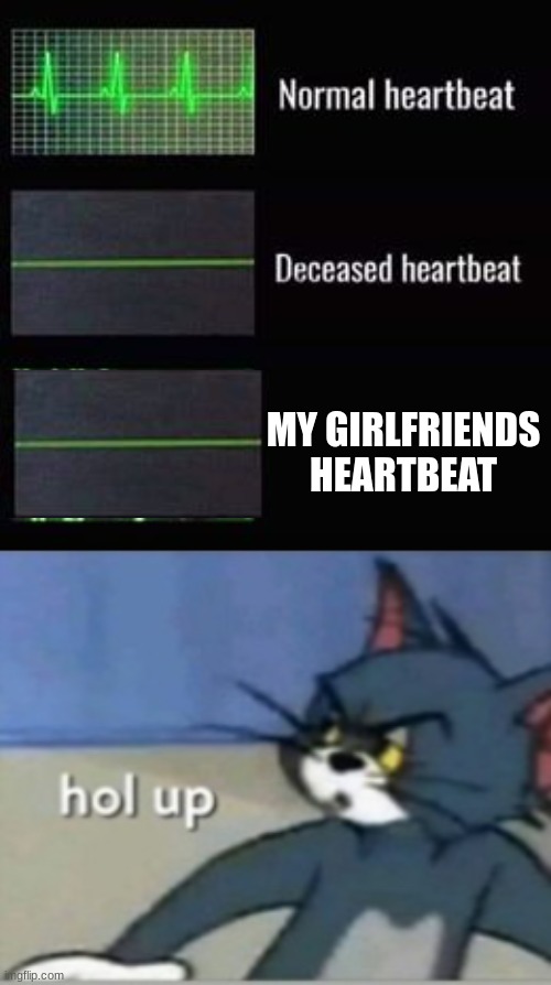 wait | MY GIRLFRIENDS HEARTBEAT | image tagged in heartbeat rate,hol up | made w/ Imgflip meme maker