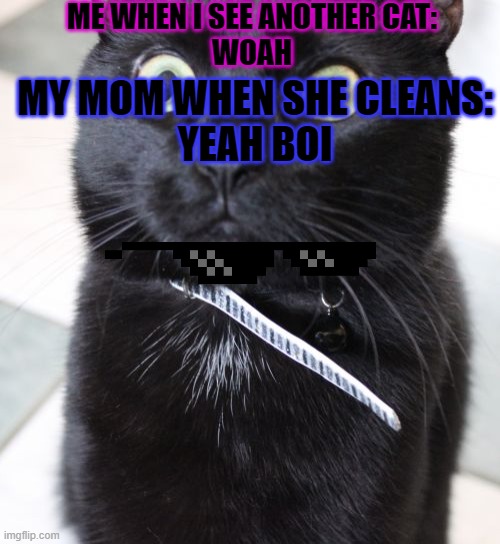 Woah Kitty Meme | ME WHEN I SEE ANOTHER CAT:
WOAH; MY MOM WHEN SHE CLEANS:
YEAH BOI | image tagged in memes,woah kitty | made w/ Imgflip meme maker