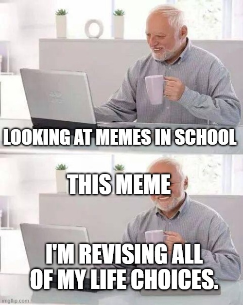 LOOKING AT MEMES IN SCHOOL THIS MEME I'M REVISING ALL OF MY LIFE CHOICES. | image tagged in memes,hide the pain harold | made w/ Imgflip meme maker