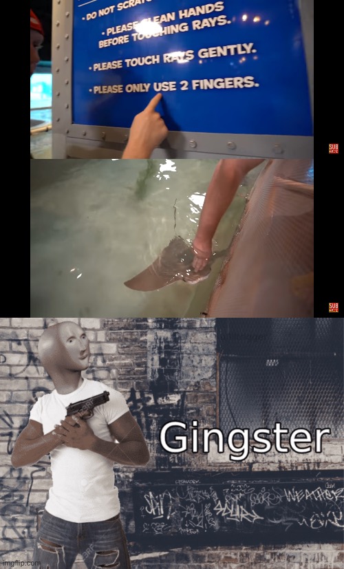 Jajajajajajajajajajajajajajajajajajajaja JA | image tagged in gingster | made w/ Imgflip meme maker