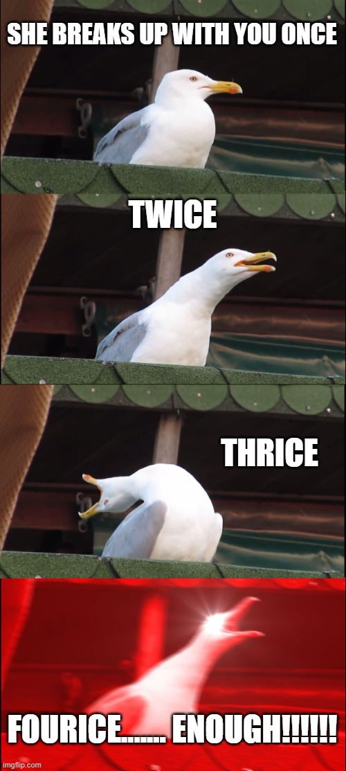 Inhaling Seagull Meme | SHE BREAKS UP WITH YOU ONCE; TWICE; THRICE; FOURICE....... ENOUGH!!!!!! | image tagged in memes,inhaling seagull | made w/ Imgflip meme maker