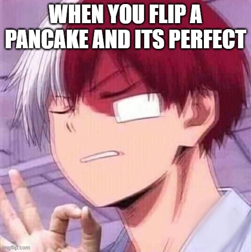 Yes | WHEN YOU FLIP A PANCAKE AND ITS PERFECT | image tagged in todoroki | made w/ Imgflip meme maker
