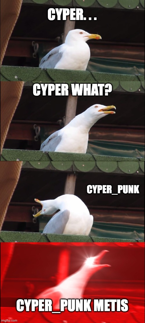 Cyper_Punk Metis | CYPER. . . CYPER WHAT? CYPER_PUNK; CYPER_PUNK METIS | image tagged in memes,inhaling seagull | made w/ Imgflip meme maker