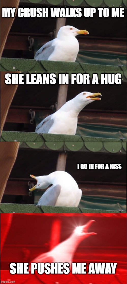 Inhaling Seagull Meme | MY CRUSH WALKS UP TO ME; SHE LEANS IN FOR A HUG; I GO IN FOR A KISS; SHE PUSHES ME AWAY | image tagged in memes,inhaling seagull | made w/ Imgflip meme maker