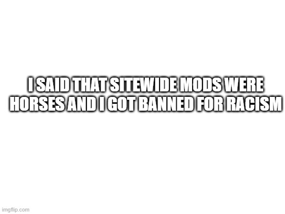 There is no freedom now, thanks to danish | I SAID THAT SITEWIDE MODS WERE HORSES AND I GOT BANNED FOR RACISM | image tagged in blank white template | made w/ Imgflip meme maker