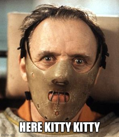 Hannibal Lecter | HERE KITTY KITTY | image tagged in hannibal lecter | made w/ Imgflip meme maker