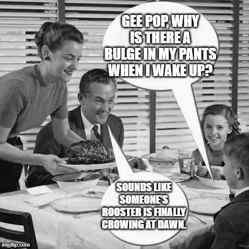 Rooster Crows | GEE POP, WHY IS THERE A BULGE IN MY PANTS WHEN I WAKE UP? SOUNDS LIKE SOMEONE'S ROOSTER IS FINALLY CROWING AT DAWN. | image tagged in vintage family dinner,fun,innuendo | made w/ Imgflip meme maker