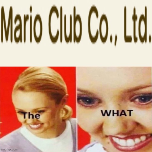 The What | image tagged in the what | made w/ Imgflip meme maker