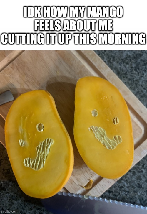How did we get here? | IDK HOW MY MANGO FEELS ABOUT ME CUTTING IT UP THIS MORNING | image tagged in white text box,mango,how did this happen,why | made w/ Imgflip meme maker