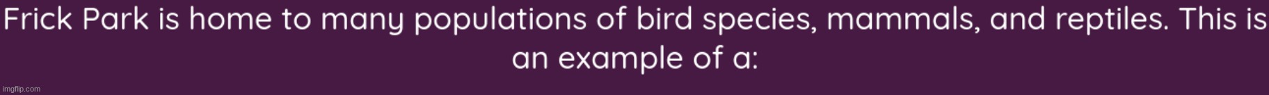 hehe frick lmao | made w/ Imgflip meme maker