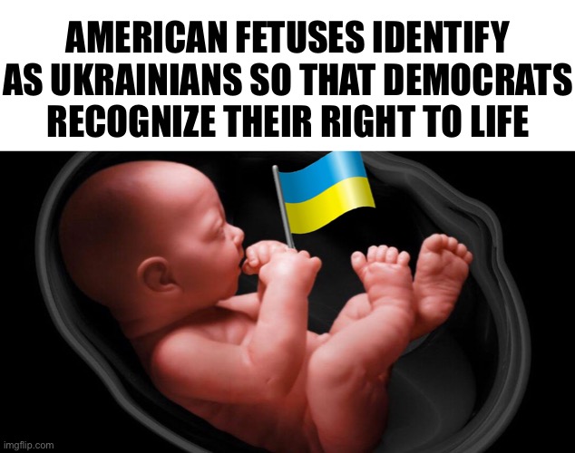 American Fetuses identify as Ukrainians so that Democrats recognize their right to life | AMERICAN FETUSES IDENTIFY AS UKRAINIANS SO THAT DEMOCRATS RECOGNIZE THEIR RIGHT TO LIFE | image tagged in political meme,abortion,joe biden,ukraine,ww3,russia | made w/ Imgflip meme maker