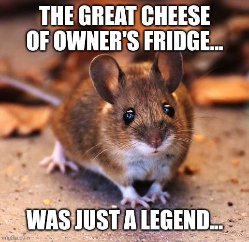 cute rat | THE GREAT CHEESE OF OWNER'S FRIDGE... WAS JUST A LEGEND... | image tagged in cute rat | made w/ Imgflip meme maker