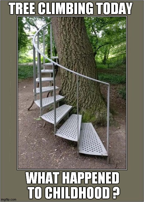 Health And Safety Gone Mad ! | TREE CLIMBING TODAY; WHAT HAPPENED  TO CHILDHOOD ? | image tagged in health and safety,tree,climbing | made w/ Imgflip meme maker