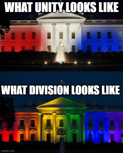 division | WHAT UNITY LOOKS LIKE; WHAT DIVISION LOOKS LIKE | image tagged in division,divided,unity | made w/ Imgflip meme maker