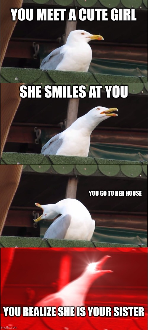 Inhaling Seagull Meme | YOU MEET A CUTE GIRL; SHE SMILES AT YOU; YOU GO TO HER HOUSE; YOU REALIZE SHE IS YOUR SISTER | image tagged in memes,inhaling seagull | made w/ Imgflip meme maker