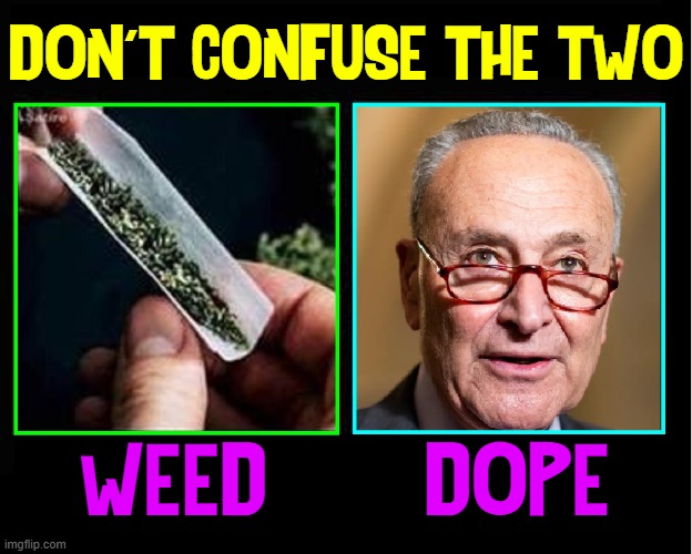 Public Information Message | DON'T CONFUSE THE TWO; WEED       DOPE | image tagged in vince vance,weed,memes,chuck schumer,getting high,government corruption | made w/ Imgflip meme maker
