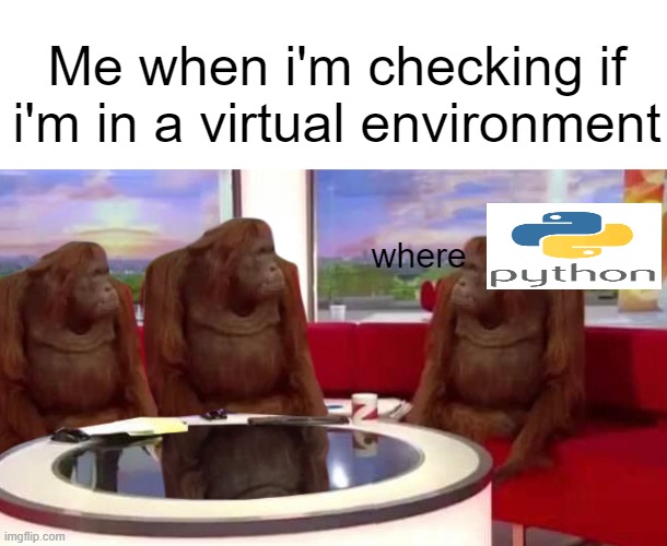 Me when i'm checking if i'm in a virtual environment; where | image tagged in blank white template,where monkey,programming | made w/ Imgflip meme maker