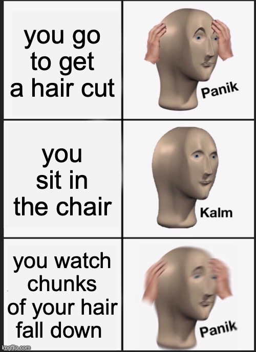 Yek! | you go to get a hair cut; you sit in the chair; you watch chunks of your hair fall down | image tagged in memes,panik kalm panik,funny,fun,haircut | made w/ Imgflip meme maker