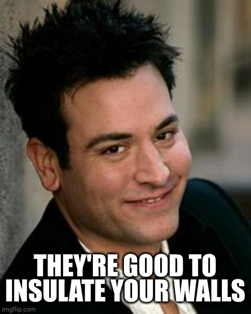 Ted Mosby, Architect | THEY'RE GOOD TO INSULATE YOUR WALLS | image tagged in ted mosby architect | made w/ Imgflip meme maker