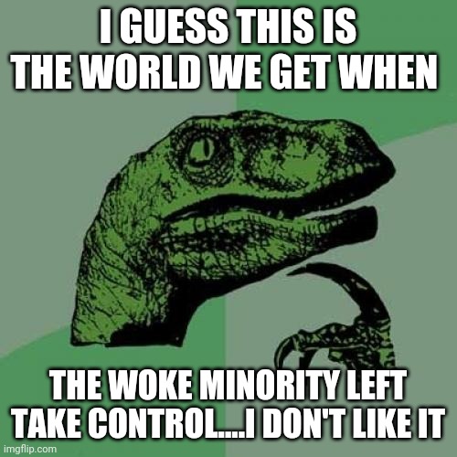 Philosoraptor | I GUESS THIS IS THE WORLD WE GET WHEN; THE WOKE MINORITY LEFT TAKE CONTROL....I DON'T LIKE IT | image tagged in memes,philosoraptor | made w/ Imgflip meme maker