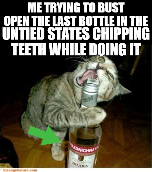 still sipping | ME TRYING TO BUST OPEN THE LAST BOTTLE IN THE; UNTIED STATES CHIPPING TEETH WHILE DOING IT | image tagged in cat drinking 2,cat drinking | made w/ Imgflip meme maker